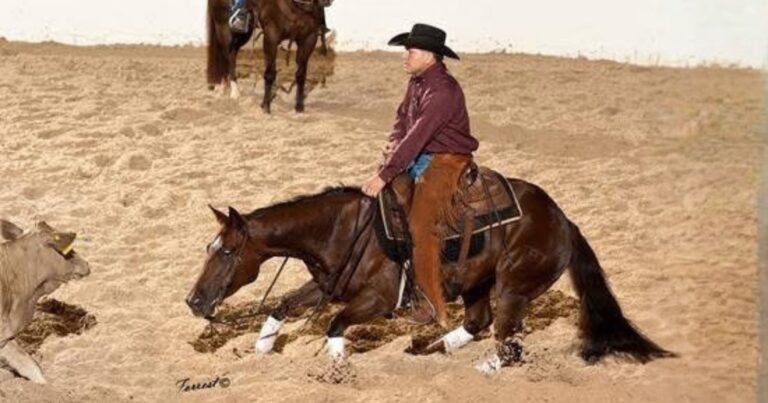 Reys Desire_Lee Francois_crsy Francios