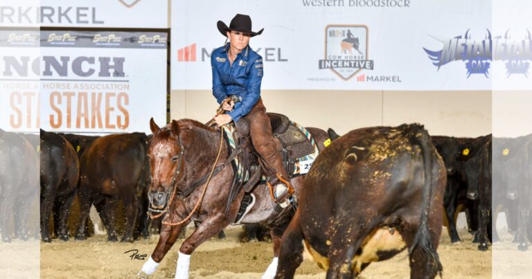 Erin Taormino_2026_NRCHA Stallion Stakes_Hazardouz Material_Primo