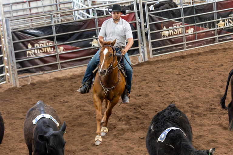 NEReg26_EC_13GS_033A2579