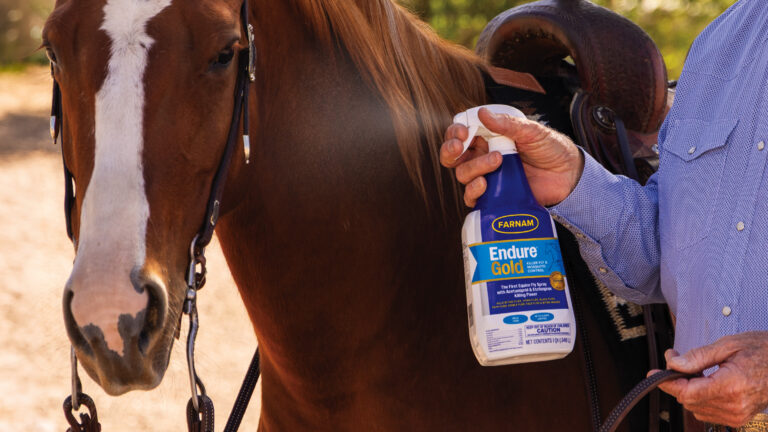 Farnam Gold with sorrel horse