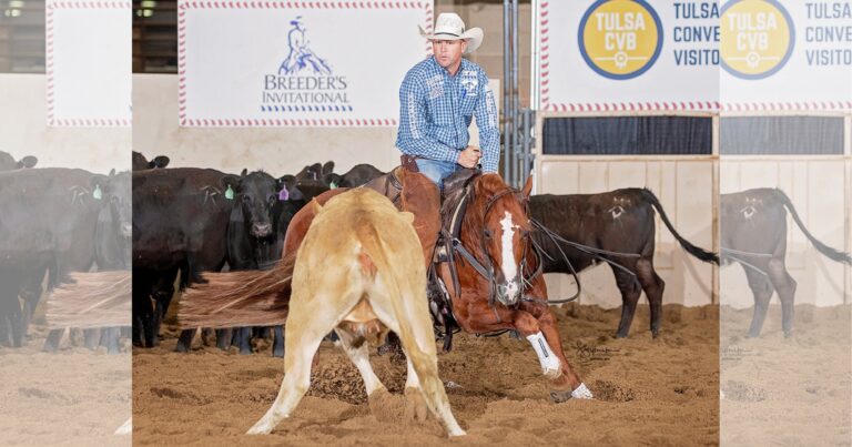Gottii_2026_Breeders Invitational_S_Sylvester