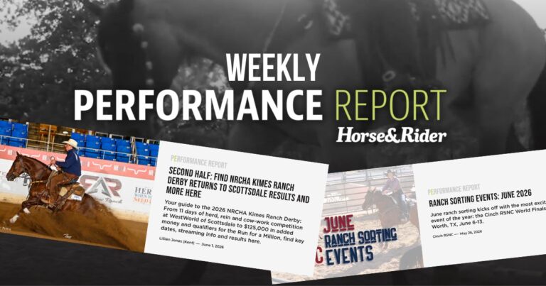 Weekly Performance Report