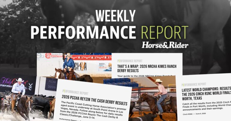 Performance Report_june 8