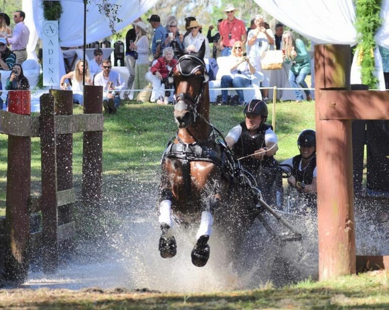 Purina Animal Health, Live Oak Singles Champ Jacob Arnold, Trauma Void EQ3 Helmet for April 11th, 2018