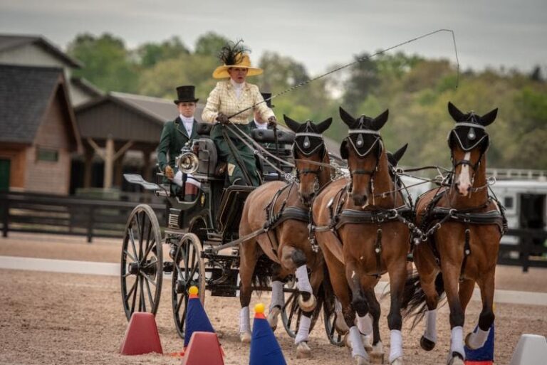 Tryon Test Event and New Therapies for Chronic Disease for May 2nd, 2018