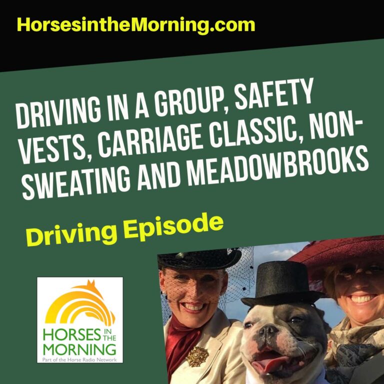 Driving in a Group, Safety Vests, Carriage Classic, Non-Sweating and Meadowbrooks 101 for July 5th, 2018