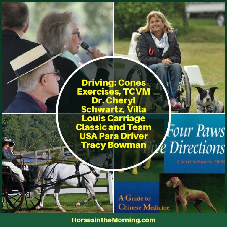 Cones Exercises, TCVM Dr