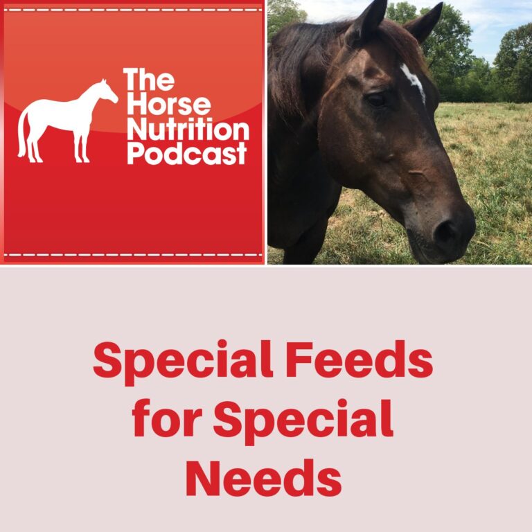 Special Feeds for Special Needs, The Horse Nutrition Podcast