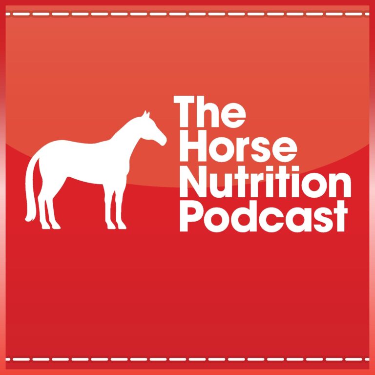 A Day in the Life of a Research Horse, The Horse Nutrition Podcast