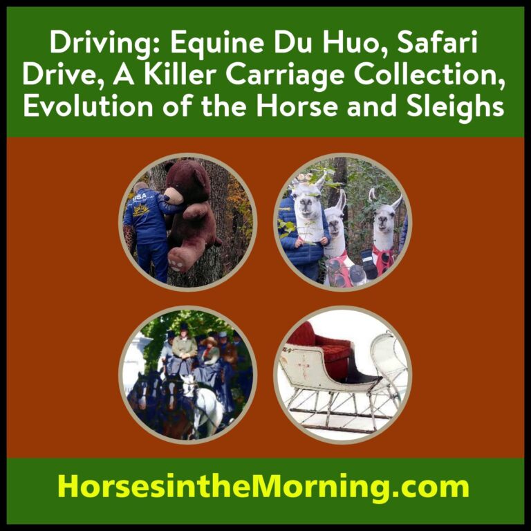 Sleighs 101, a Champion Named Scooter, Evolution of the Horse and the Carriage Murders for Dec