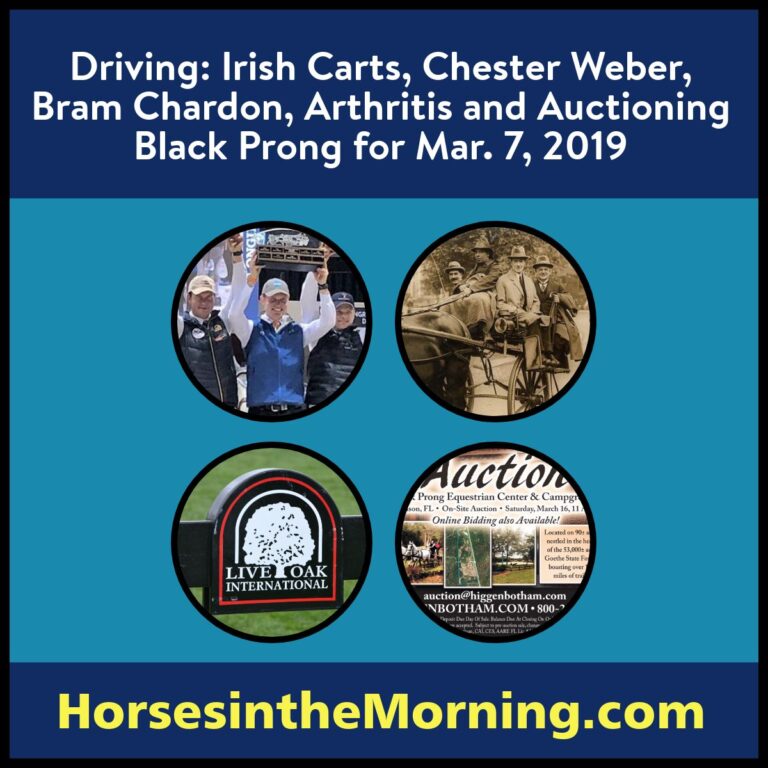 Irish Carts, Chester Weber, Bram Chardon, Arthritis and Auctioning Black Prong for Mar