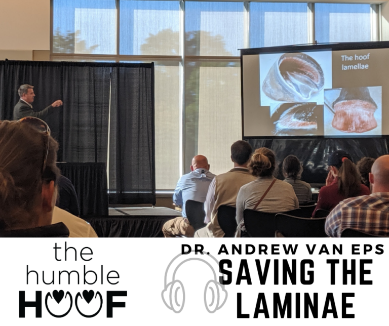 Saving the Laminae: Laminitis Prevention and Rehabilitation with Dr