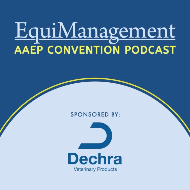 AAEP Convention Podcast | Endometritis