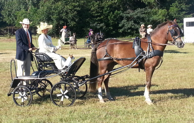 Driving Revisit: Food Therapy, Goals, Standing Still, Florida Whips and Navigator Training for 12-05-2019