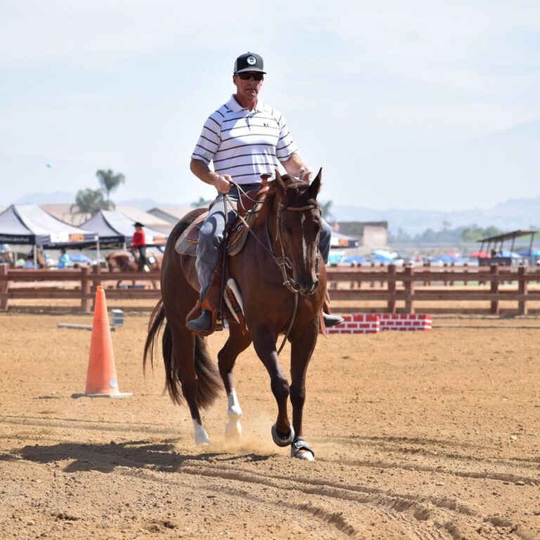 151: Therapeutic Shoeing and Model Horse Owner by Omega Fields