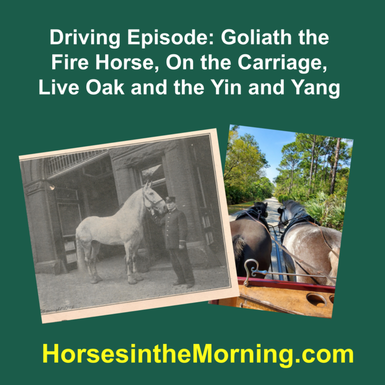 Goliath the Fire Horse, On the Carriage, Live Oak and the Yin and Yang