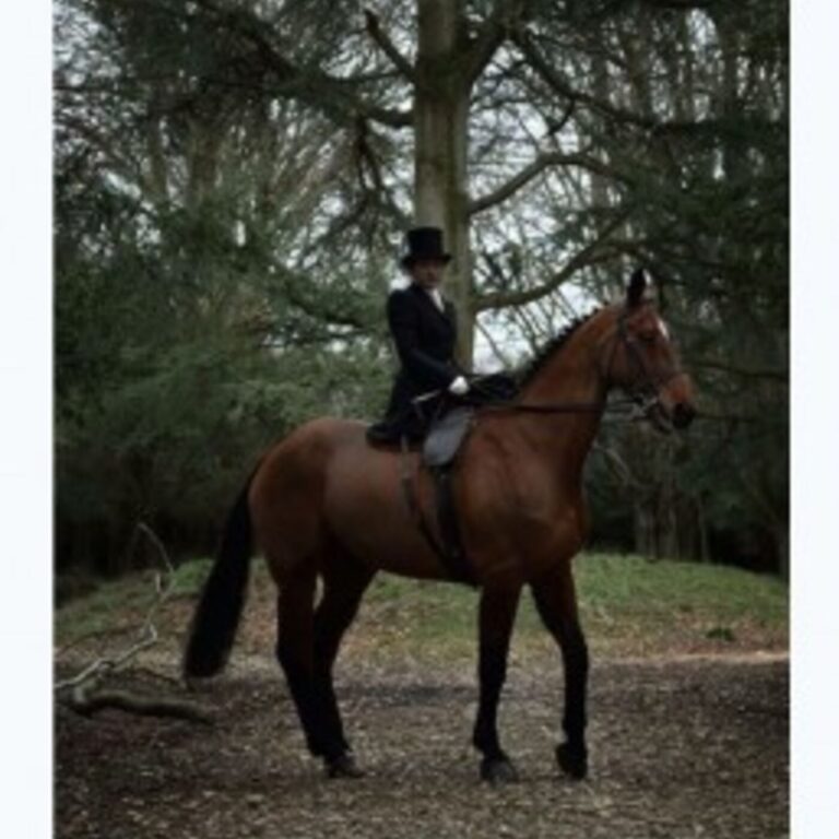 REVISIT: Meeting Lady Martha, Moon Boots for Your Horse, H&C TV, Squirrel’s Not A Dingbat for Feb