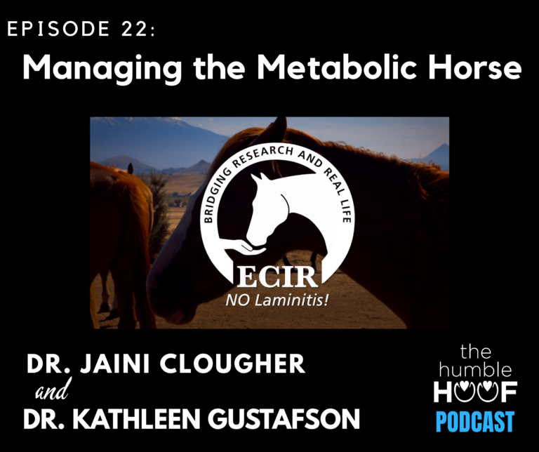 Managing the Metabolic Horse: Dr. Jaini Clougher and Dr