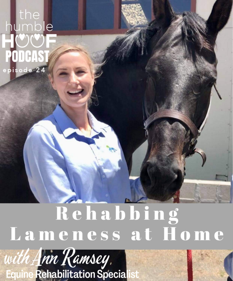 Rehabbing Lameness At Home: Ann Ramsey, Equine Rehabilitation Specialist