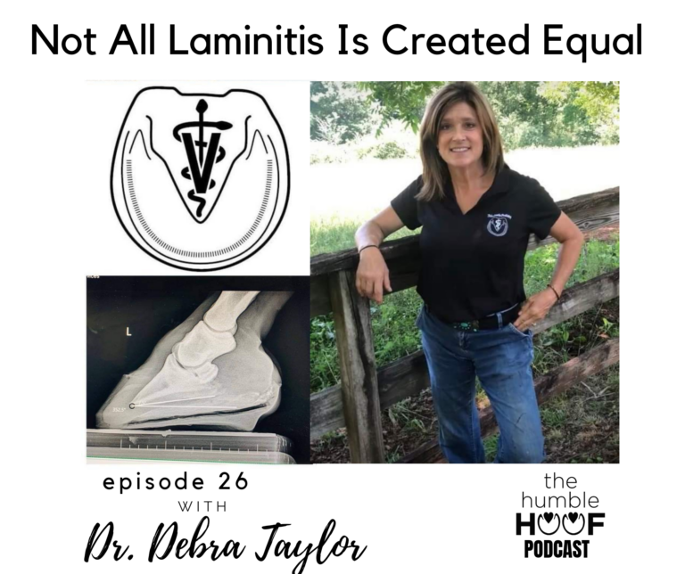 Not All Laminitis Is Created Equal with Dr