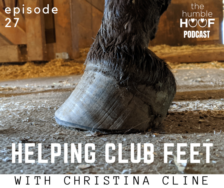 Helping Club Feet: Christina Cline of The Essential Hoof Book