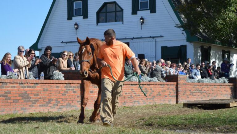 42: TRF Blackburn 2020, Bourbon and Thoroughbreds, Feeding Hangry Horses, and One More Whim by Kentucky Performance Products
