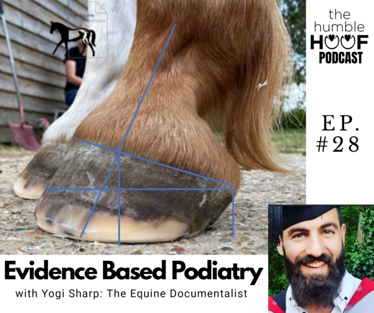 Evidence Based Podiatry: Yogi Sharp of The Equine Documentalist