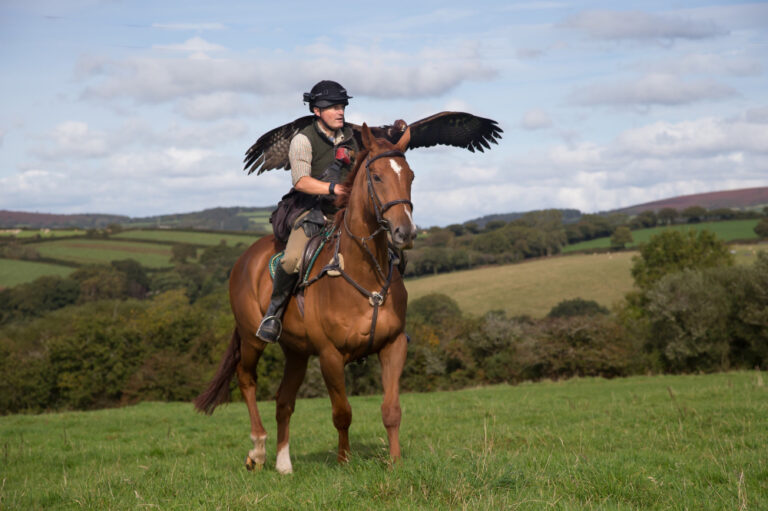 44: Falconry with Recycled Racers, Moving Your Horse Forward with Leandra, and Unnamed Sally Ride ’18 by Kentucky Performance Products