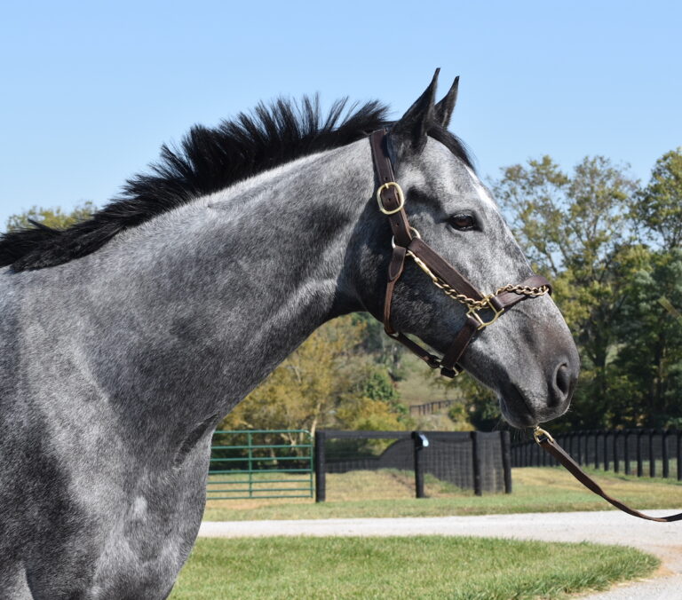 45: “Love to Race”, Careers in Racing, Overcoming Head Shyness with Leandra, and I Can Do Anything by Kentucky Performance Products