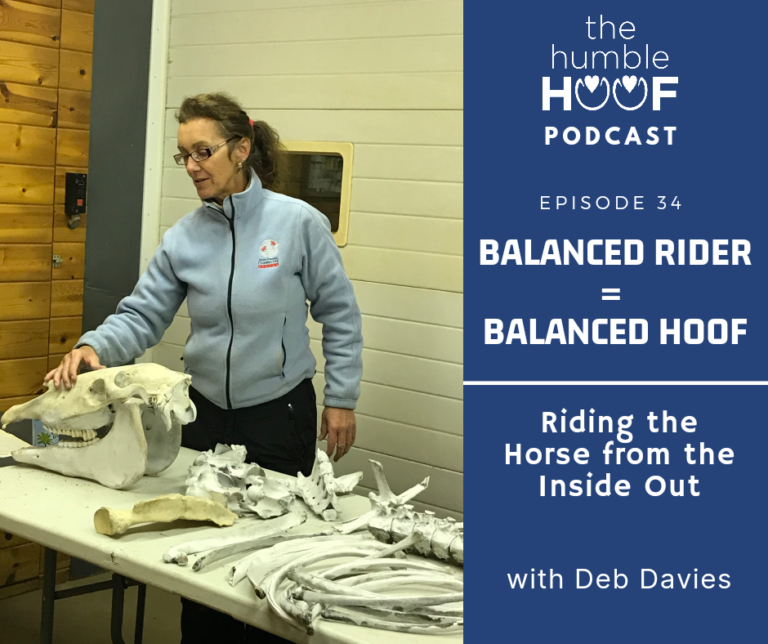 Balanced Rider, Balanced Hoof: Riding the Horse from the Inside Out with Deb Davies