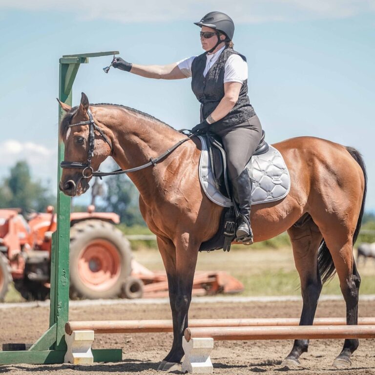 Retired Racehorse 50: Monty’s Methods, Working Equitation, TB Makeover Class of 2021, Sire Madness, Census by Kentucky Performance Products