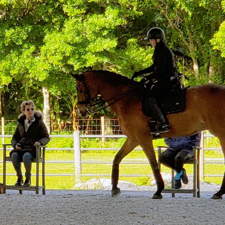 Season 2, Episode 6: Meet New Hosts and Interview with Janet Foy