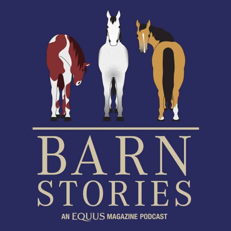 The Golden Year | Barn Stories: Ep