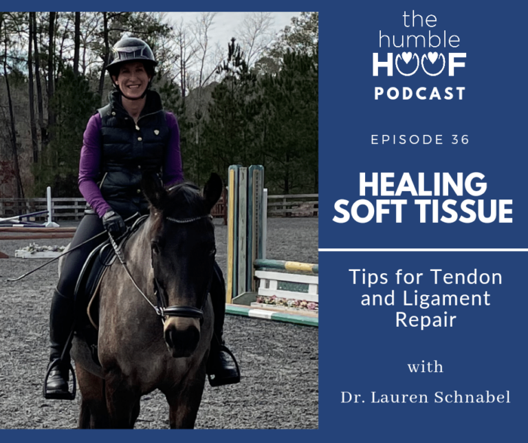 Healing Soft Tissue: Tips for Tendon and Ligament Repair with Dr