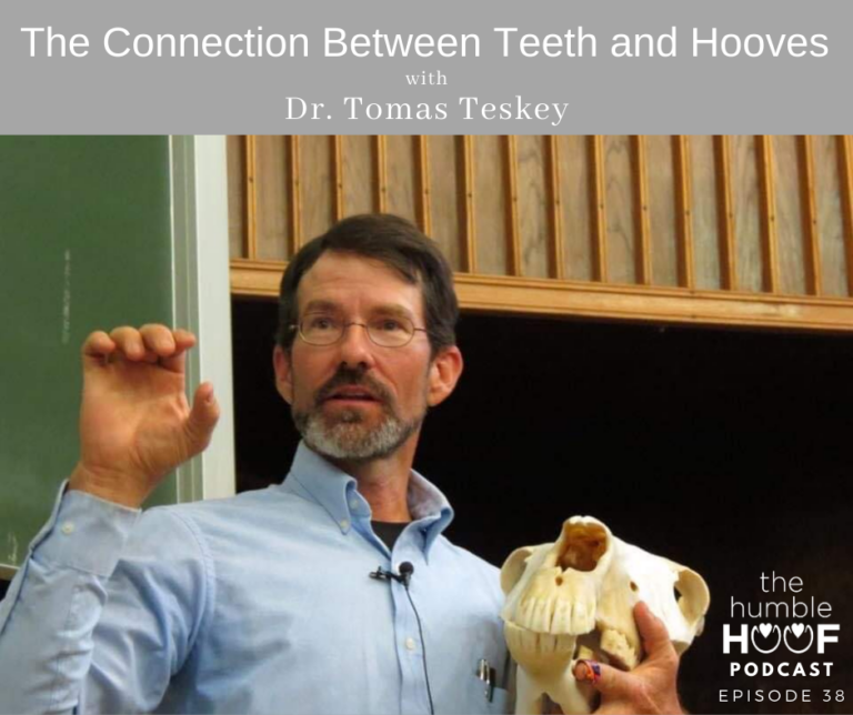 The Connection Between Teeth and Hooves with Dr