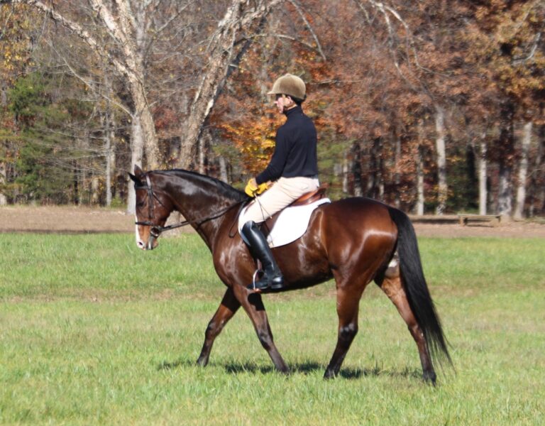53: Desk Jockey to Pro, Tad Coffin, Broodmare Bunch, RRP Spotlight Rider, Analyze Your Risk by Kentucky Performance Products