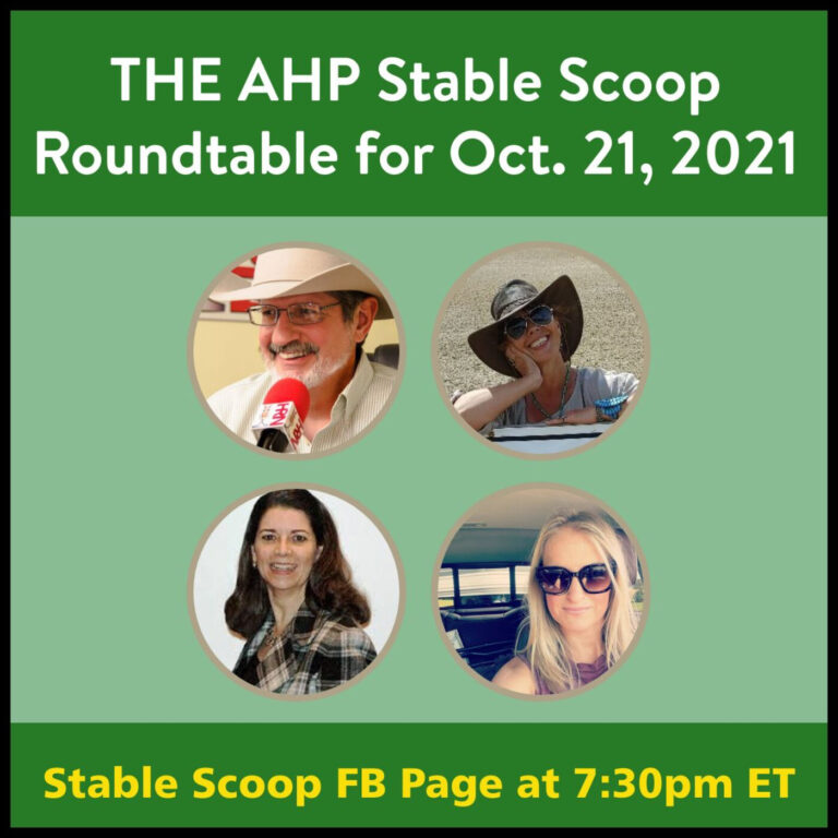 AHP Roundtable for Oct