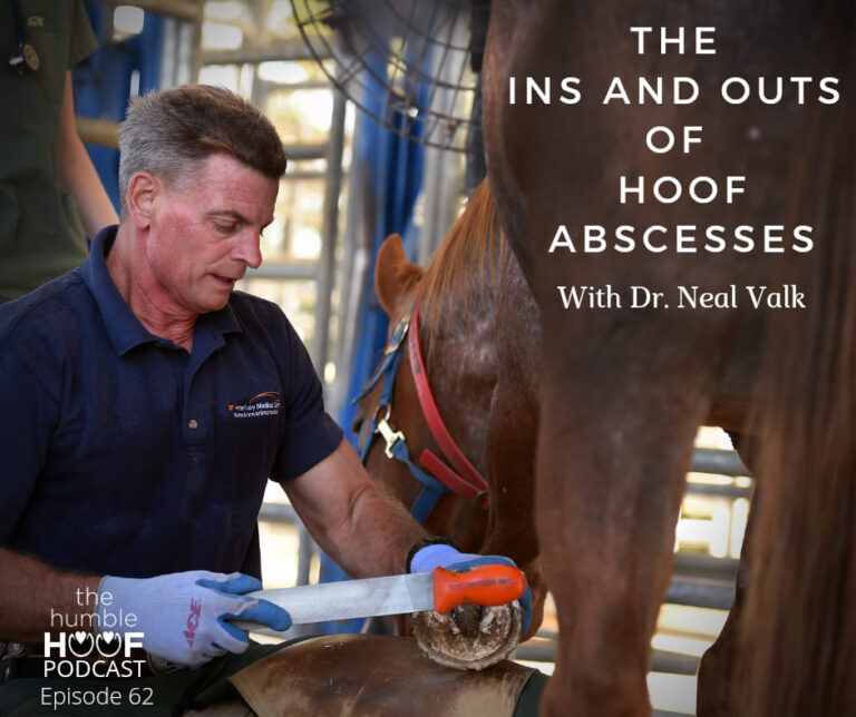 The Ins and Outs of Hoof Abscesses with Dr