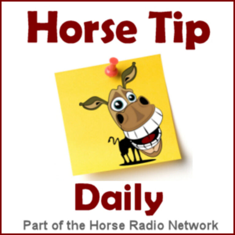 Horse Tip Daily 1447 by Wintec Saddles:  Dr