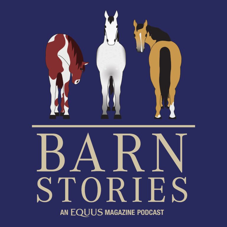The Transformation | Barn Stories Ep