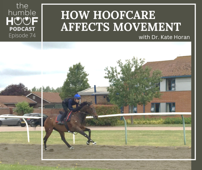 How Hoofcare Affects Movement with Dr