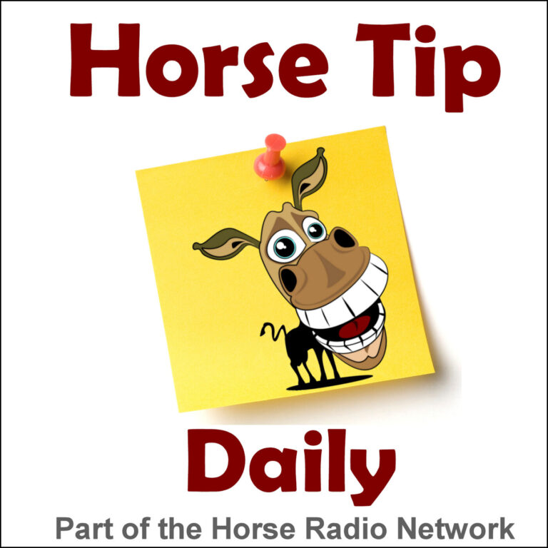 Horse Tip Daily 1455 Praise Effort & Reward Try