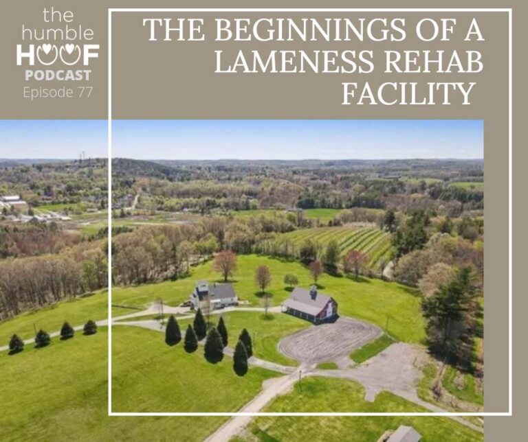The Beginnings of a Lameness Rehab Facility – Sponsored by Equithrive
