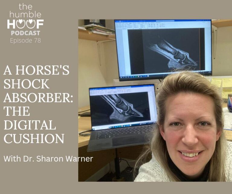 A Horse’s Shock Absorber: The Digital Cushion, sponsored by EquiThrive