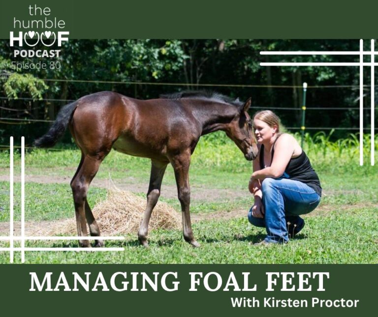 Managing Foal Feet with Kirsten Proctor, Sponsored by Equithrive