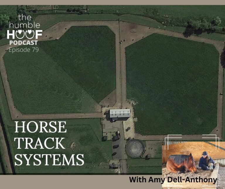 Horse Track Systems with Amy Dell-Anthony, Sponsored by Equithrive