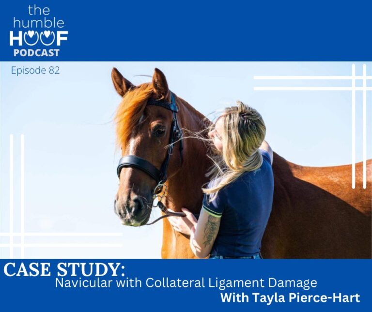 Case Study: Navicular with Collateral Ligament Damage, Sponsored by Equithrive