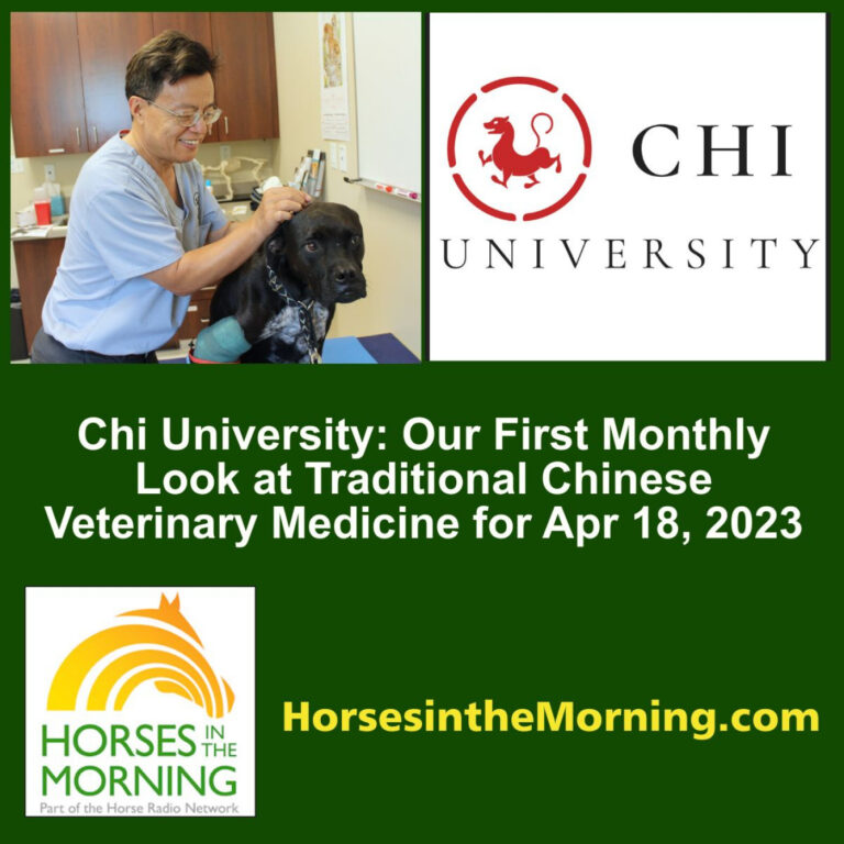 Chi University: Our First Monthly Look at Traditional Chinese Veterinary Medicine for Apr 18, 2023