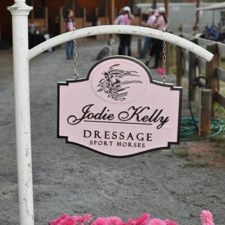 Boot Care, Shopping for Your Next Horse and Finding a Good Dressage Trainer