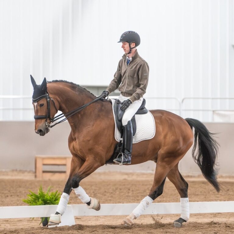 Marketing and Selling Your Horse, Amateur Spotlight and Trainer Tip